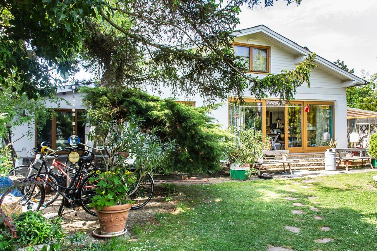 Flat Lake Loft Apetlon Esterno foto